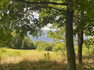 39 Meadows Rd W, Harman, WV 26270