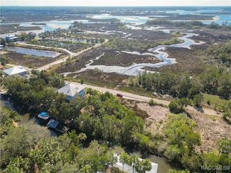 12193 W Bald Eagle Ct, Crystal River, FL 34429