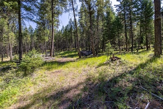 1286 Coon Hollow Rd, Kila, MT 59920