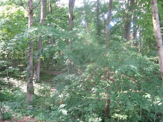 0000 Pine Dr Unit 92, Santa Claus, IN 47579