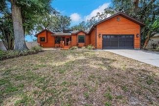 1004 Black Knight Dr, Valrico, FL 33594