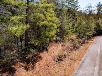 794 Silverstone Dr, Edneyville, NC 28792