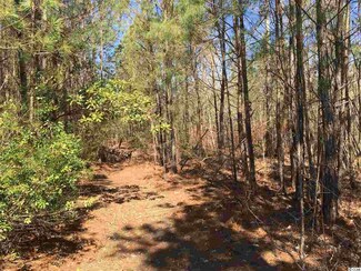 200 Moore Dr, Hemingway, SC 29554