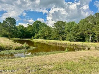Near 2151 Dolph Lewis Rd, Cerro Gordo, NC 28430