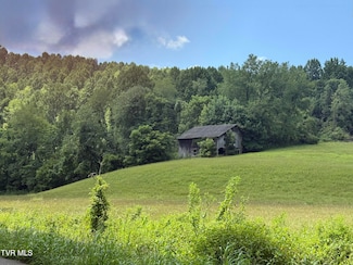 000 Long Hollow Rd, Nickelsville, VA 24271