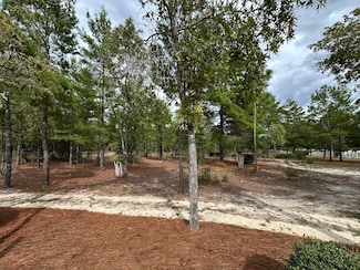 325 Blackfoot Dr, Defuniak Springs, FL 32433