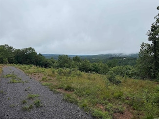 0 Henderson Rd Unit Tract 1 25023119, Clinton, AR 72031