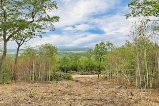 0 Long Stack Ln, Wolfeboro, NH 03894