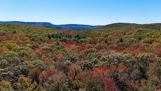 125 van Keuren Rd, Wawarsing, NY 12428