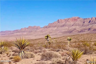 258 Mohave Ln Unit 258, Meadview, AZ 86444