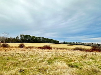 W6430 Melrue Rd, Prentice, WI 54556