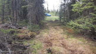 Mile 117.7 Richardson Hwy, Glennallen, AK 99588