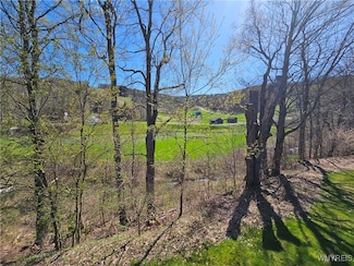 81 Woods Rd, Ellicottville, NY 14731