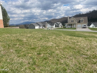 17 Riley St, Lebanon, VA 24266