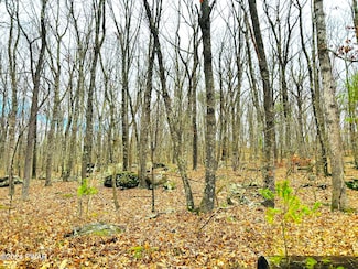 23 Ledgecrest Rd, Lackawaxen Township, PA 18428