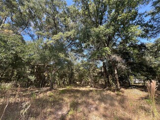 13465 SW 100th St, Dunnellon, FL 34432