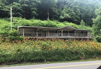 15810 R D Bailey Hwy, Hanover, WV 24839
