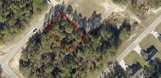 8009-1226-10 SW 66th Ave, Liberty Triangle, FL 34476