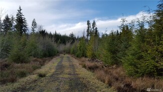 0 Hwy 101 Unit 892156, Naselle, WA 98638