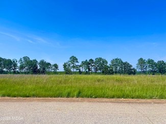 Lot 41 Crabapple Dr, Hawkinsville, GA 31036