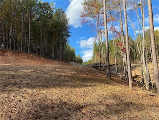 #14 Lone Bear Path, Dallas, GA 30132