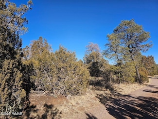 0 Buckskin Rd, Overgaard, AZ 85933