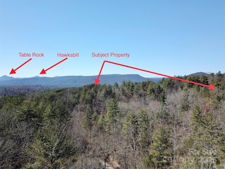 2500 Playmore Beach Rd, Lenoir, NC 28645