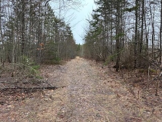 40 Ac M/L Pendills Lake Rd, Bay Mills Township, MI 49715