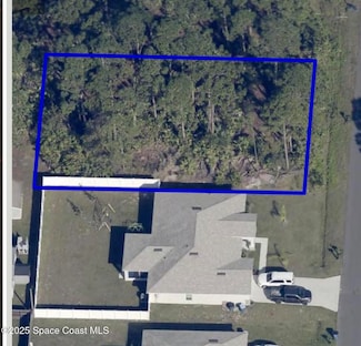 270 Mardi Gras Ave NW, Palm Bay, FL 32907