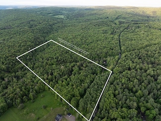 223 Perry Rd, Nineveh, NY 13813