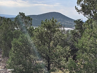 lot 76 N Dolly Dr, Vernon, AZ 85940