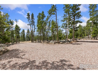 1238 Jicarilla Trail, Red Feather Lakes, CO 80545
