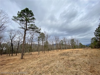 TBD Lot 6 W Harford Rd, Hartford, AR 72938