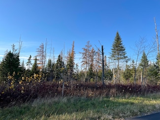 0 Albair Rd, Caribou, ME 04736