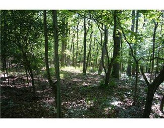0 Trestle St Unit 654309, Winslow, AR 72959