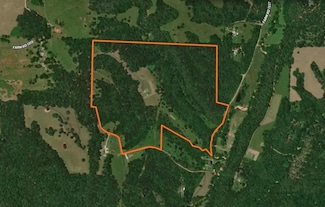 2042 Greasy Creek Ln, Washburn, MO 65772