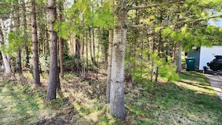 xxx Iroquois Ave, Houghton Lake, MI 48651