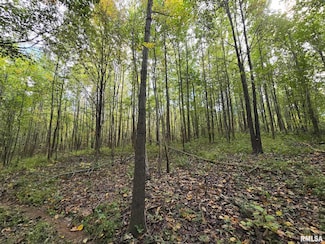 TBD State Highway 145 S Hwy, Metropolis, IL 62960