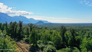 B1 L8 N Hale Cir, Palmer, AK 99645