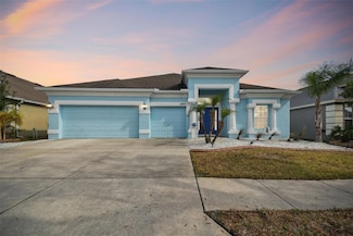 6843 Boulder Run Loop, Wesley Chapel, FL 33545