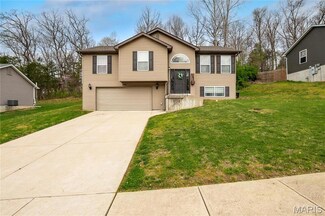 5641 Hawks Landing Dr, Hillsboro, MO 63050
