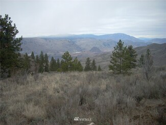 0 Lot 31 Mountain Spring Rd, Orondo, WA 98843