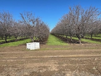 33033 California 16, Woodland, CA 95695