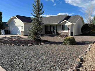 2225 Freedom Way, Montrose, CO 81401
