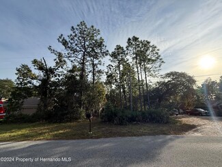 0 Long Lake Ave Unit 2250284, Weeki Wachee, FL 34613