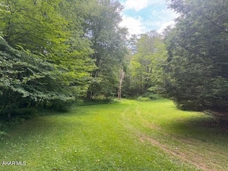 000 Puritan Rd, Portage, PA 15946