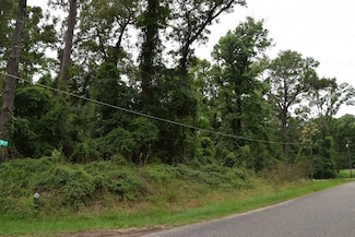 #1 Palmetto Dr, Doyline, LA 71023