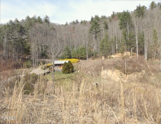 303 Honeymoon Lot 59 Hollow, Butler, TN 37640