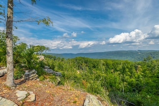 0 Catfish View Unit 1512380, Guild, TN 37340