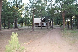 3180 Larson Loop, Forest Lakes Estates, AZ 85931
